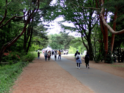 「みはらしの丘」への歩道