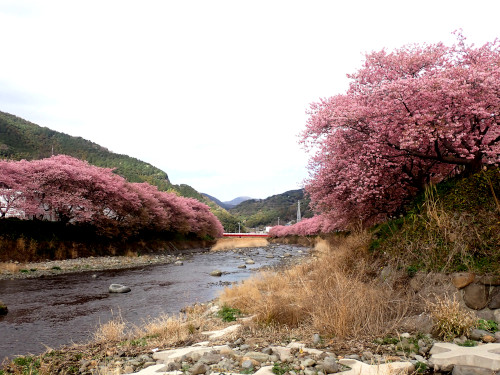 峰小橋を振り返り見る