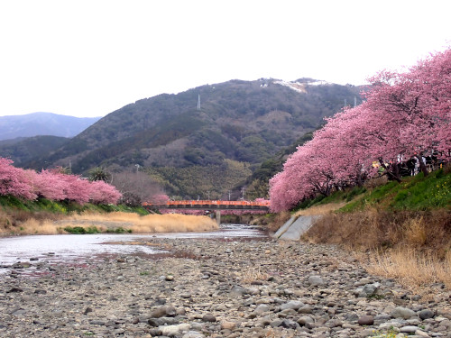 河川敷から来宮橋を見る