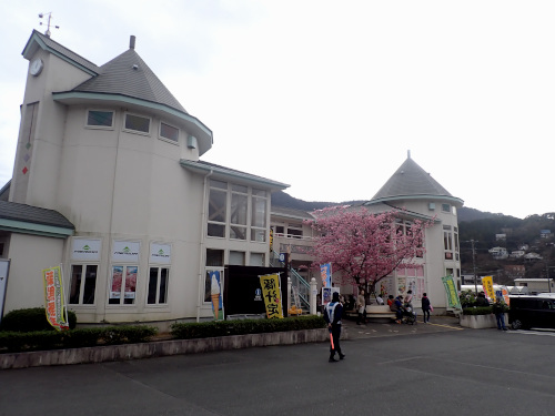 河津桜まつり本部（河津桜観光交流館）