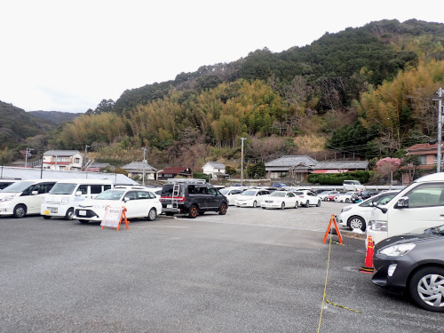 河津中学校付近の駐車場