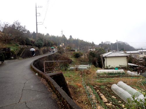 ロウバイ園への道（途中）