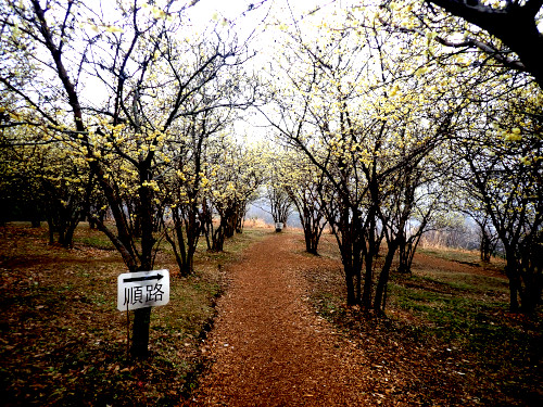 順路看板